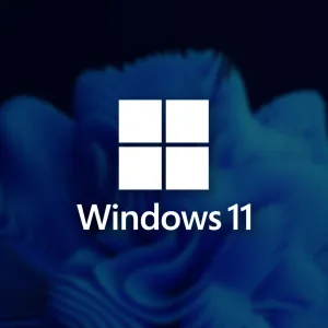 win11 w11pro